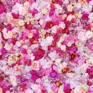 Meet your Posher, Mila